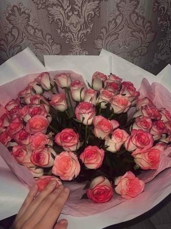 51 роза свежая