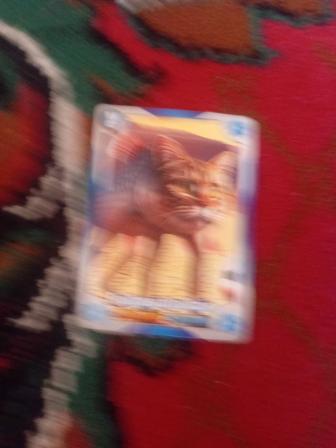 Фишка Балаларга