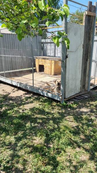 Сварочные работы