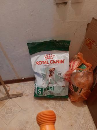 Корм для собак Royal canin