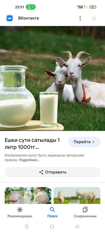 Продаем козье молоко ,сливочное масло, творог, курт все из козьего молока.