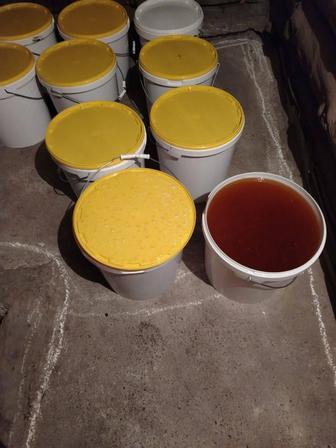 Продам натуральный мед восточно Казахстан о 20 литров 1500 за кг плюс тара.