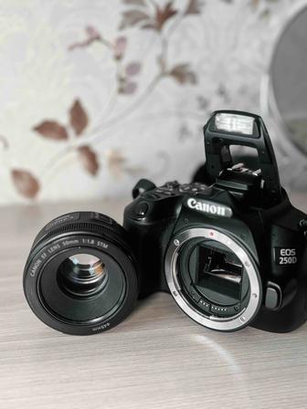 Продам камеру Canon EOS 250D EF-S объектив Canon EF 50mm f/1.8 STM