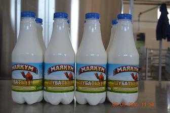 Шұбат Маяқұм