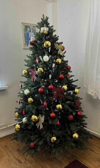 Елка Лиссабона 210 высота