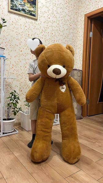 Мишка