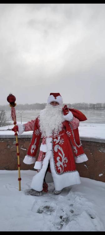 Дед Мороз и Снегурочка на выезд.