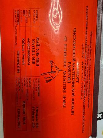 Продам лошадь