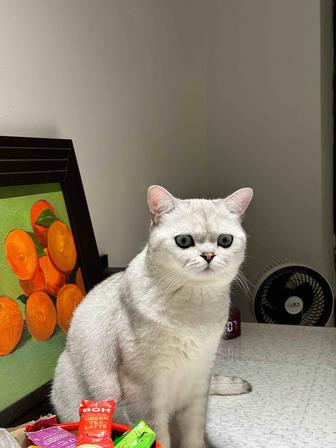 Курсы по IT для детей