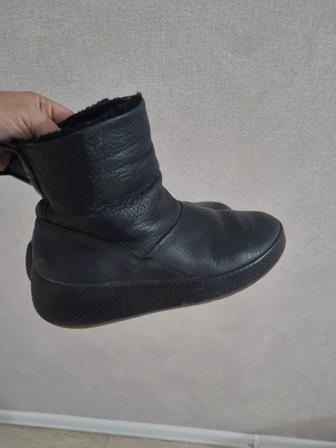 Продам кожанные валенки ECCO