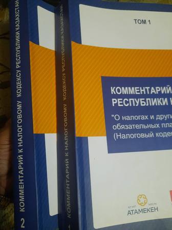 Аудит Базы 1С помощь главным бухгалтерам, подготовка к Аудиту, Налоговый ау