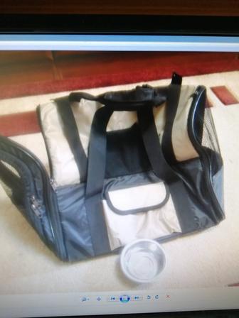 Сумку-рюкзак для переноски кота и лоток.