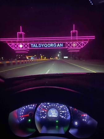 Трезвый водитель