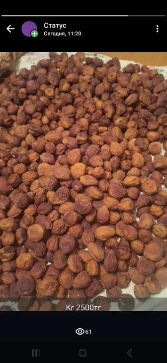 Абрикос сушенные кг 2500тг