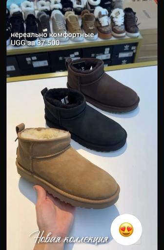 Продам угги