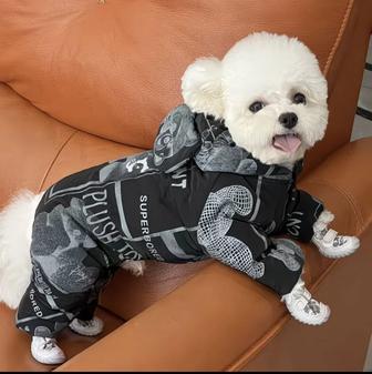 Одежда для собак