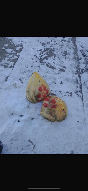 Свежая рыба