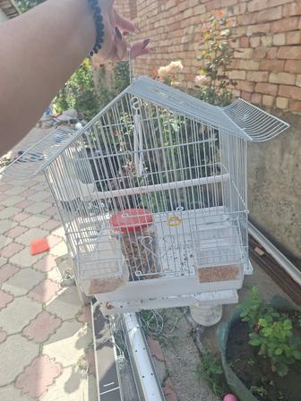 Клетка попугайчикам