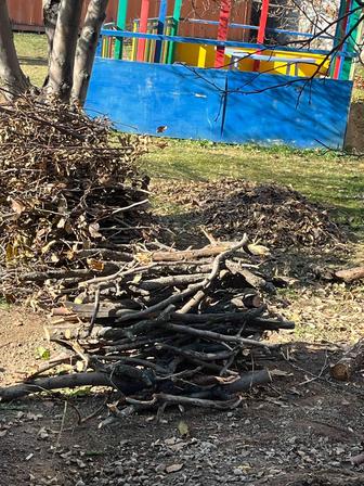Дрова отдам бесплатно