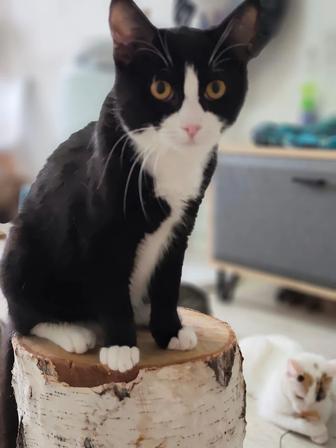 Надаль он же Кубик 5 месяцев