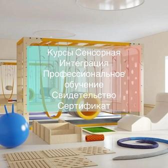 Курсы Сенсорная Интеграция