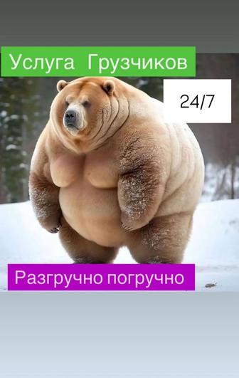 Грузчики