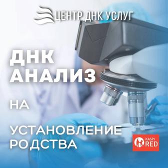 Установление родства по ДНК-анализу