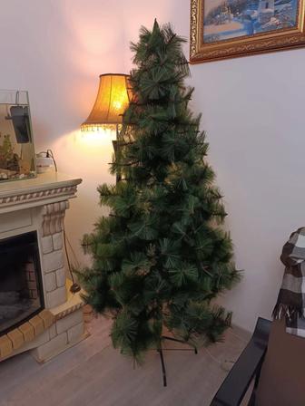 Продам елку 1.7 метров