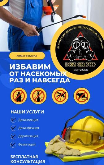 Дезинфекция / дезинсекция /дератизация