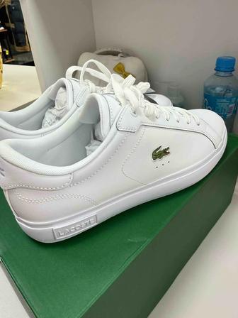 Новые Оригинал кеды Lacoste
