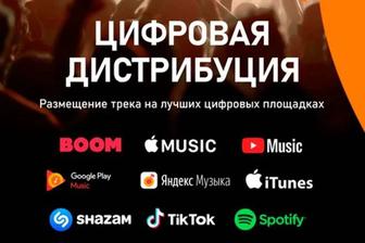 Дистрибуция вашей музыки на все цифровые площадки. Apple Music, iTunes.