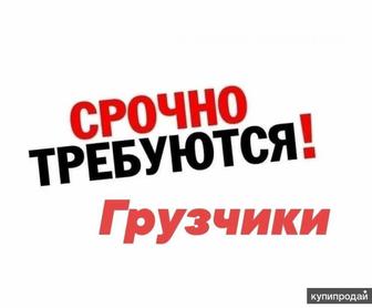 Услуги грузчиков