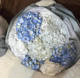 Продам красивые гортензии