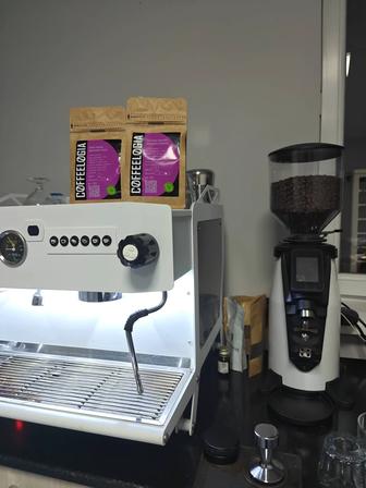 Обучение, курс Бариста