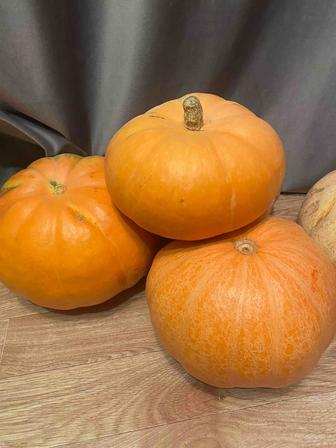 Продам тыкву домашнюю