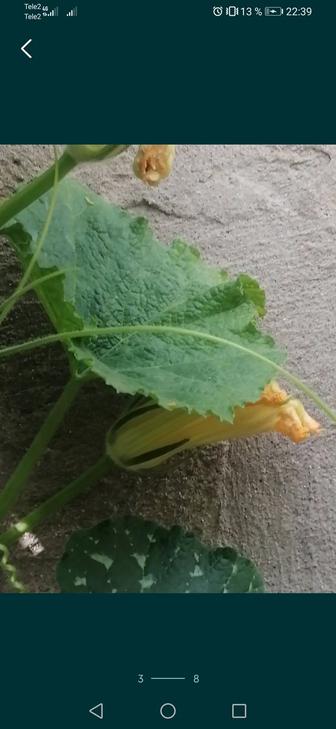 Услуга! Клининг, вытяжки в ресторане, кафе, столовые, в алматы, Ауэзовский,