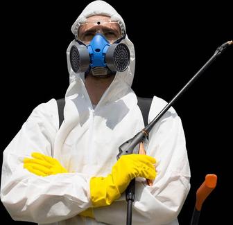 Дезинфекция от всех видов насекомых, грызунов и вирусов Гарантия качества.