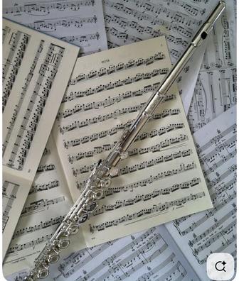 Уроки музыки по флейте , подготовка для поступления в музыкальную школу .