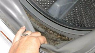 Чистка от плесени стиральных машин г.Астана