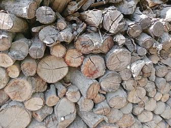Дрова из фруктовых деревьев