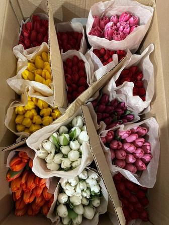 Тюльпаны к 8марту