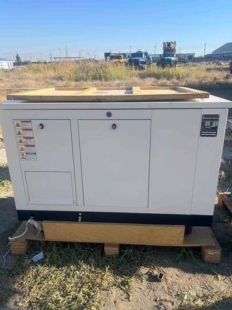 Газовый и бензиновый генератор