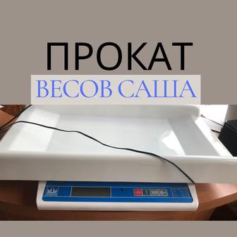 аренда детские весы для новорожденных Саша, прокат детские весы