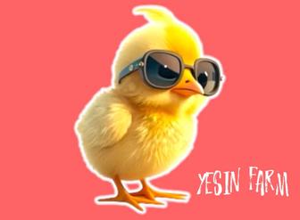 Инкубационные яйца бройлера арбор айкрес отличная продуктивность