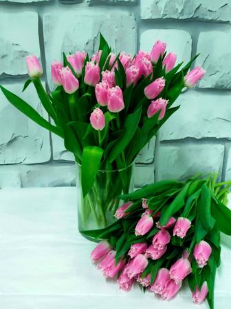 Тюльпаны оптом и пачками