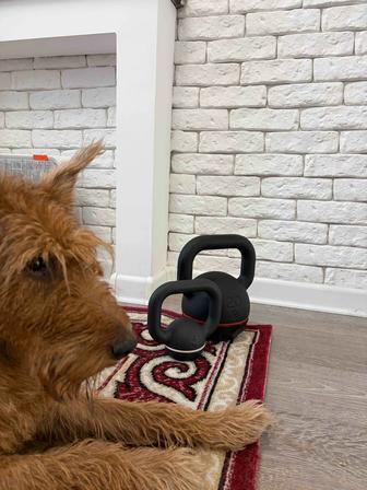 Двуручные гири