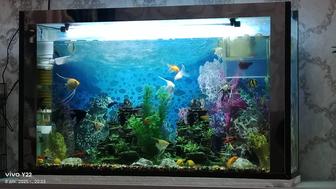 Аквариум сатылады срочна