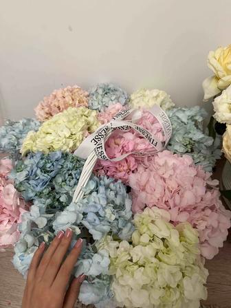 Продам цветы