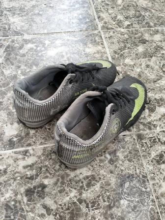 Сороконожки