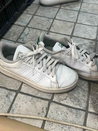 Кеды adidas